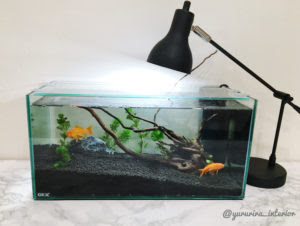 水槽のある暮らし 水槽レイアウトと配線の隠し方 Yururira S Interior Blog