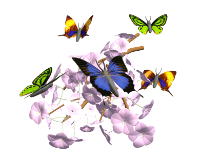 Q Tbn And9gcqcbqv Nidwbh8luorritr6eqzbhxtpn 1jzg Usqp Cau