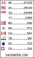 visitors by country counter