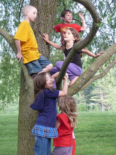 Five little cousins in a tree
