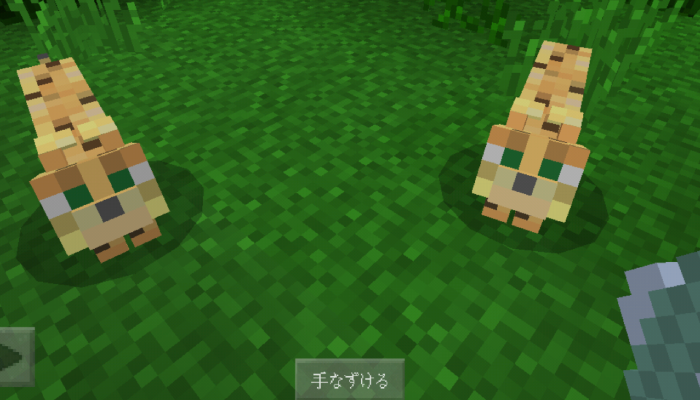 マインクラフトpe Pc ヤマネコの飼いならし方 ヤマネコの特性とキャットタワーの作り方 マイクラモール