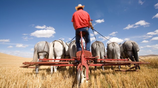 Why Engines Are Commonly Measured in Horsepower