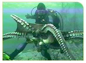 Pulpo y buceador
