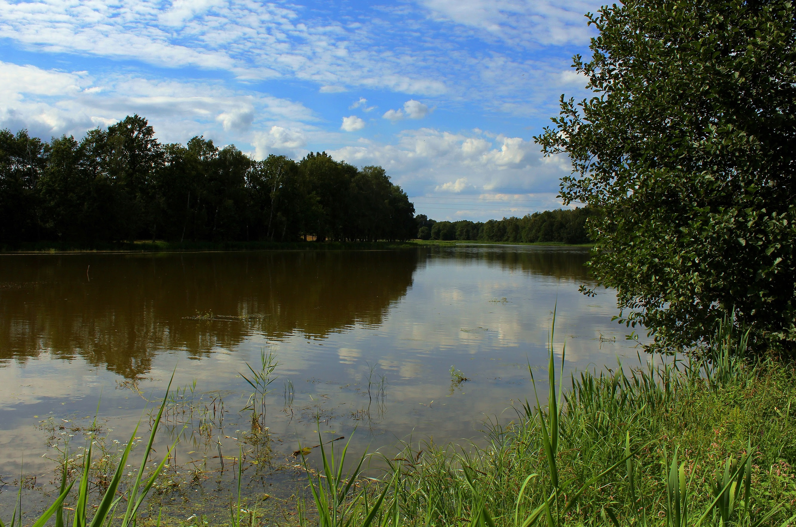 Staw Lawczok Lawczok Pond Zory