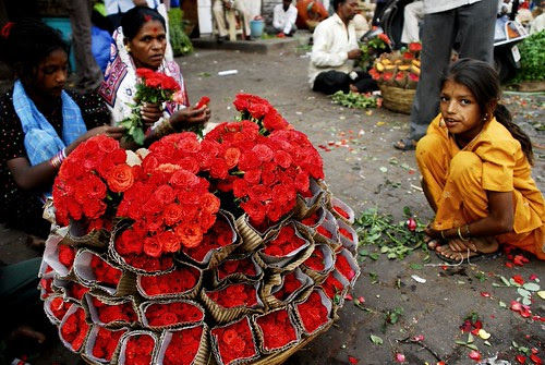 Petals, Toil and Business at Dadar’s Phulgalli [PHOTO 11] - Roses