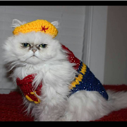 Populer 36+ Cat As Wonder Woman