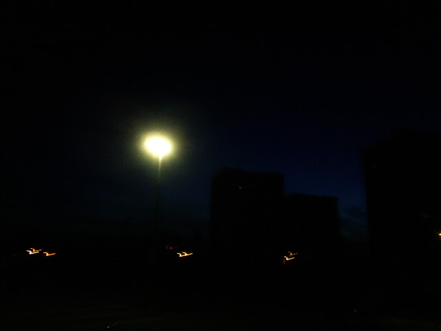 PIC_0021