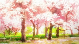 舞台探訪特別編 アニメに描かれた桜