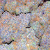 Gelato 33 Strain - Gelato Weed (Larry Bird) Strain Info | CBD Gelato Strain ... - The kush is pretty balanced between indica and sativa;