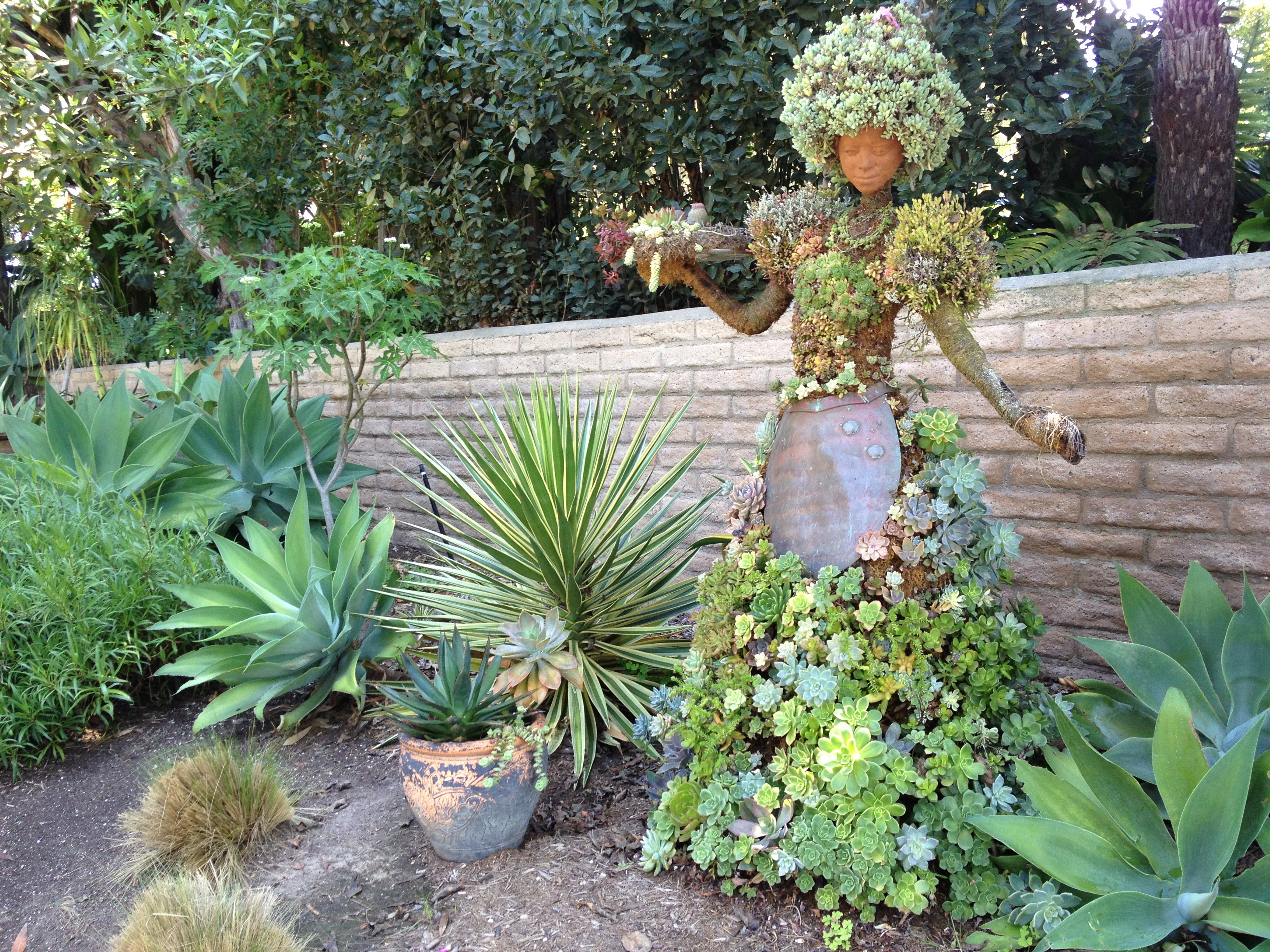 Succulent Garden Designs Home Design Ideas