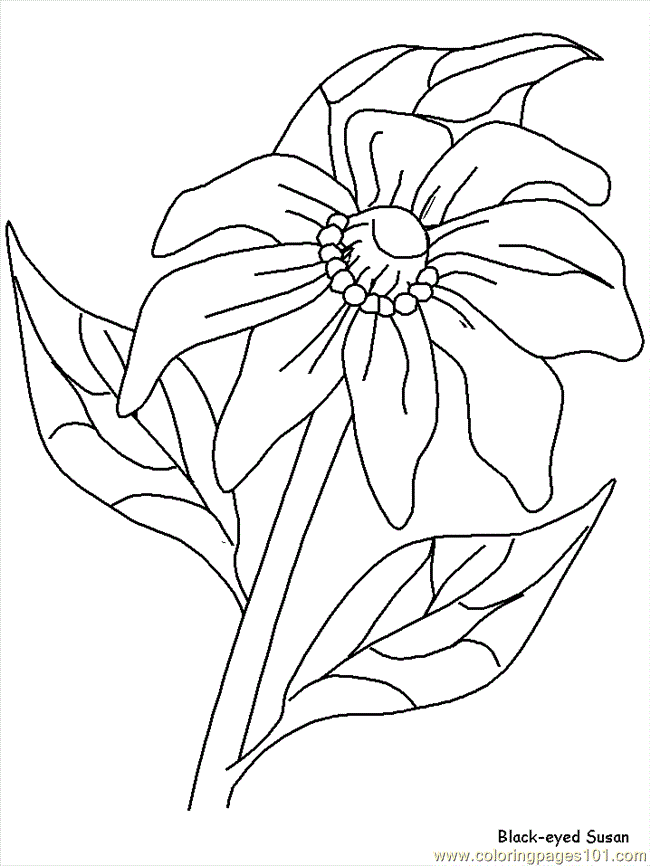 winter flower coloring pages - Clip Art Library