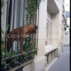 imagebam.com