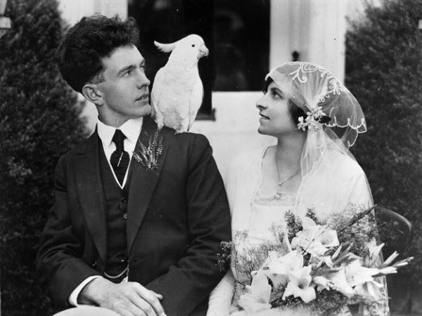 Abito da sposa 1900 zip code