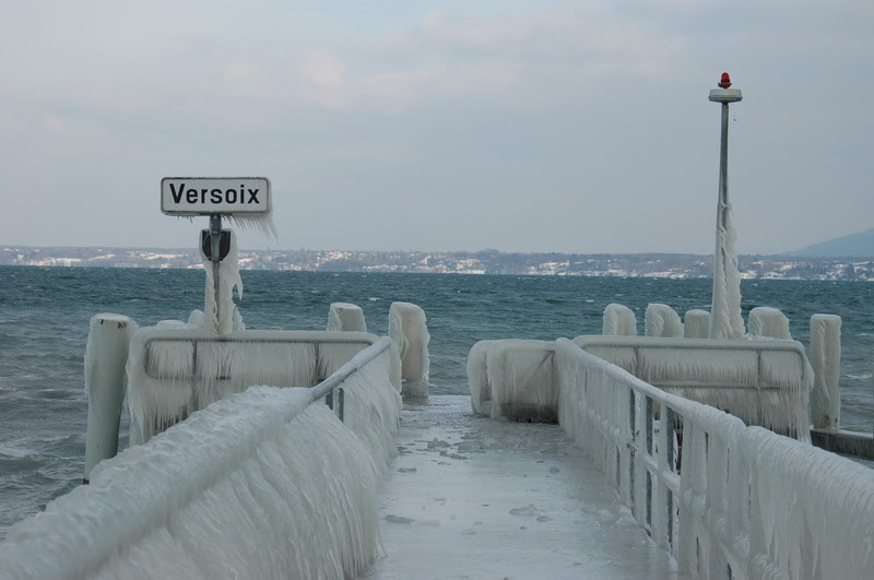 slide0005_image007