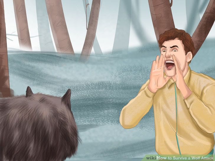 Survive a Wolf Attack Step 5 Version 2.jpg