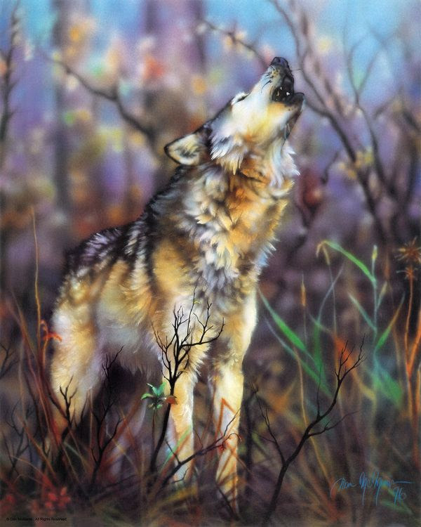 Dan McManis art