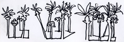 Palm
