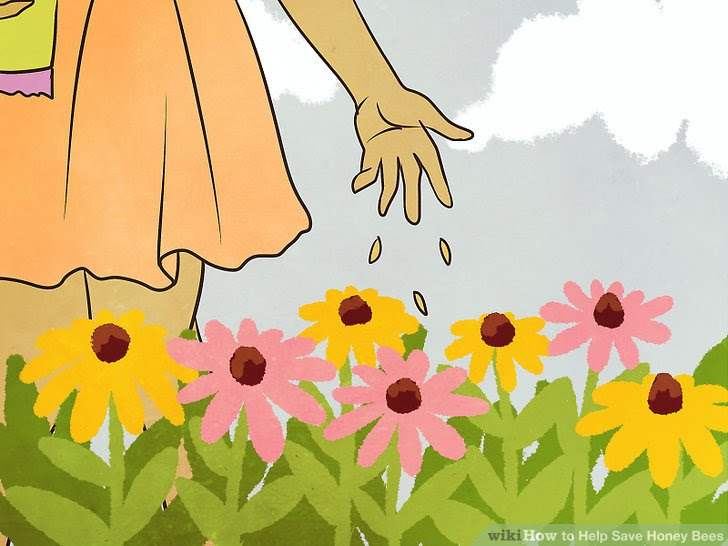 Help Save Honey Bees Step 1.jpg