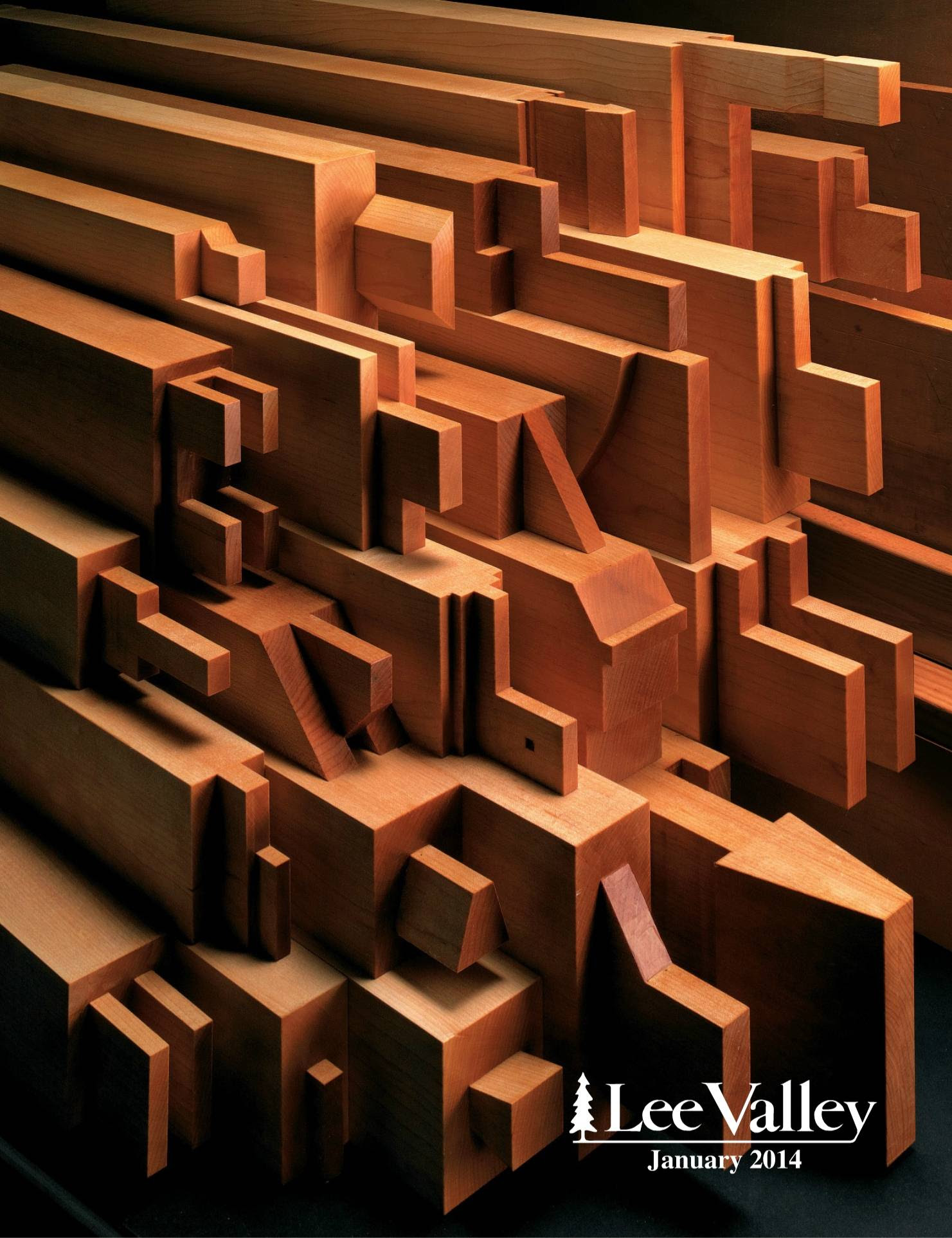 Lee Valley's January catalog cover, thought it was pretty 