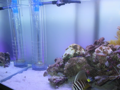 オーバーフロー水槽 ヒーリングアクアリウムt3ブログ