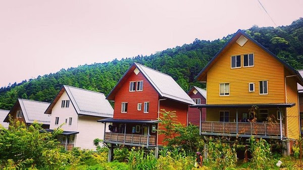 ▲嘉義阿里山得恩亞納。(圖/IG@pisces2_28提供,請勿任意翻攝以免侵權)