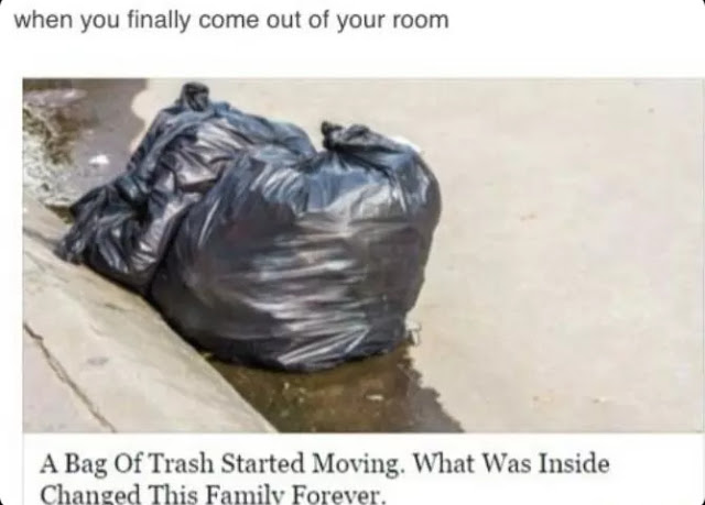 I M Trash Meme By Truefusion Memedroid