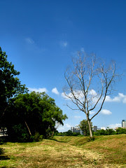 International Business Park