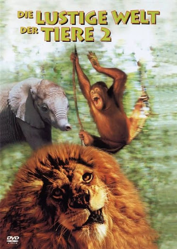 Kép