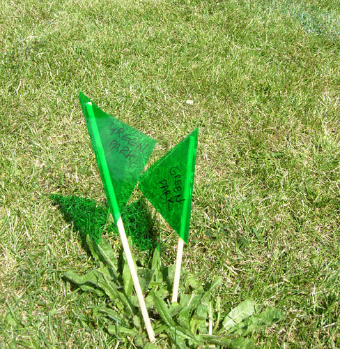 Green Park flags