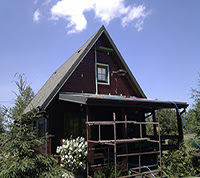 za_pianka_pur_5