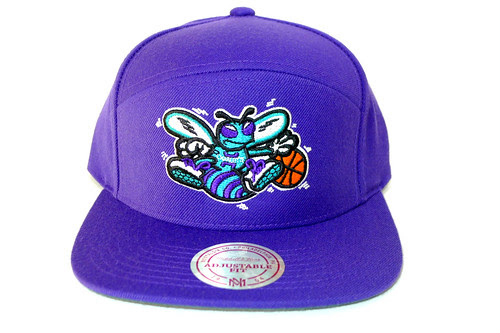 HORNETS 5 PANEL