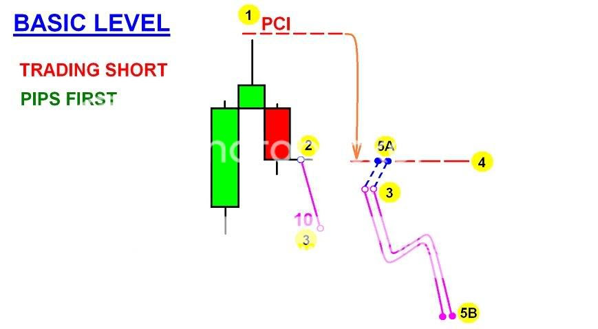 Forex trading basics in telugu