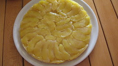 070928_tav_torta_fin