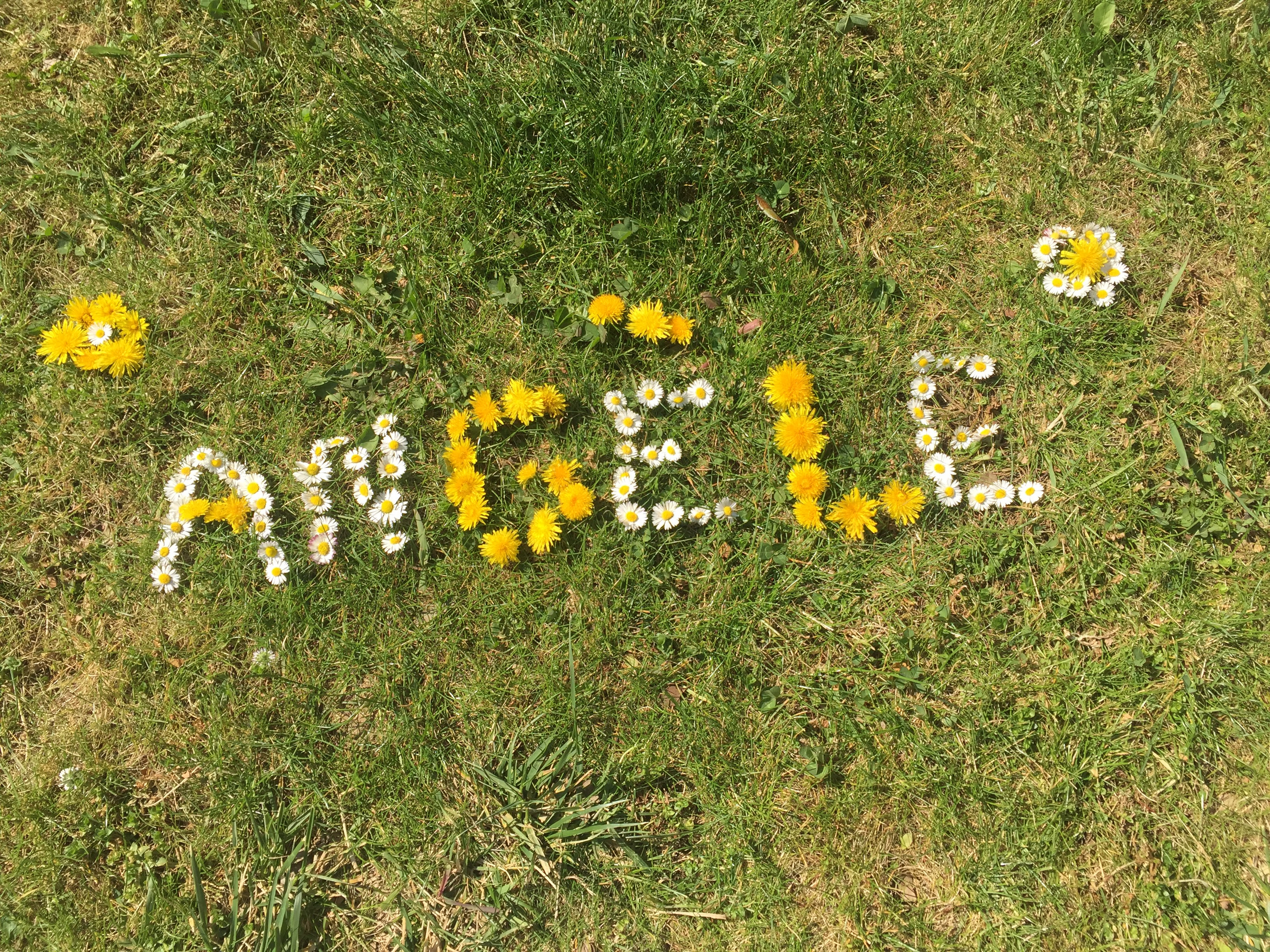 Joyeux Anniversaire Angele Elementairesolaize