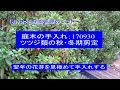 選択した画像 ツツジ 剪定しない 119850