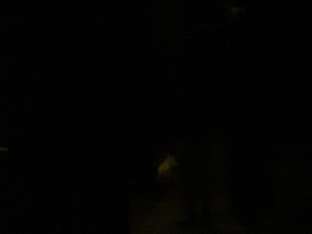 PIC_3341