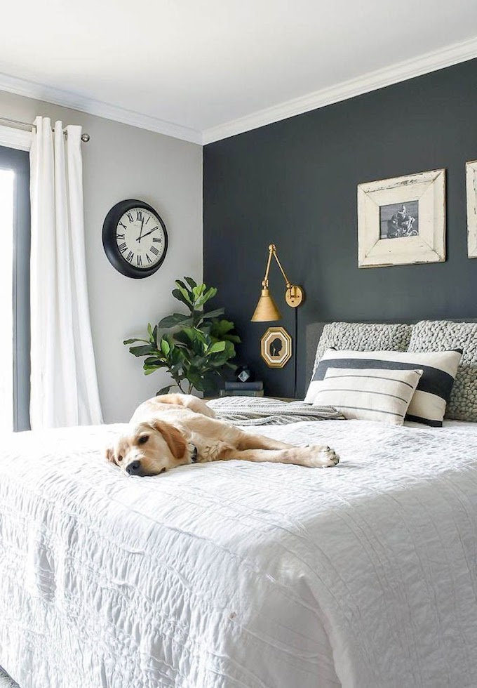 Modern Bedroom Paint Ideas : Unique bedroom paint ideas for ladies exclusive on ... : Here are top painting ideas for to help you choose the best paint colors for your bedroom, we have compiled a list of great painting ideas to personalise your bedroom's style.