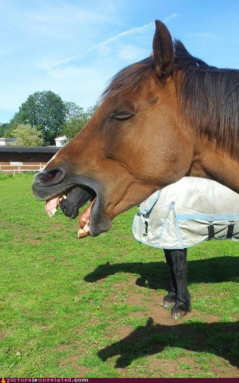 Perfectly Timed