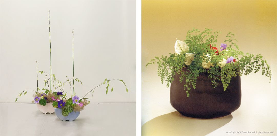 一朵之趣胜于繁 日式池坊花道体验工作坊 插花