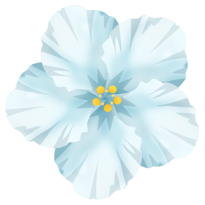 ハイビスカスe 白 の無料素材 イラスト沖縄 おきなわ