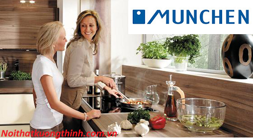 Tìm hiểu những lợi ích của bếp từ Munchen MT03