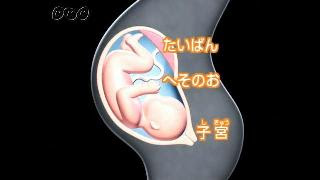 13年度 第7回 人のたんじょう ふしぎがいっぱい ５年 Nhk For School