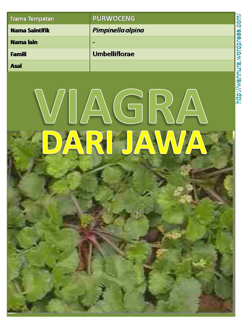 Herba  Wannura  Halaman 6
