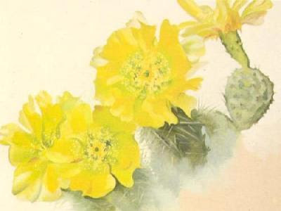 by Georgia O'Keeffe