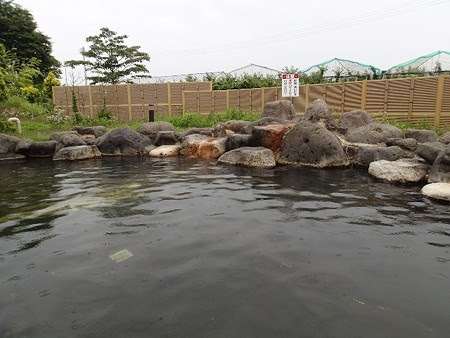 山形 天童最上川温泉 ゆぴあ ちょっと温泉に行ってみますか