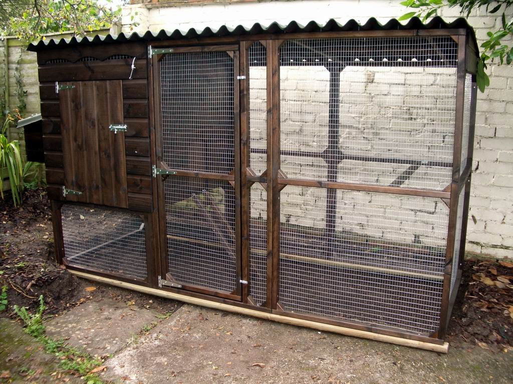 How to Build a Chicken Coop – Design Your Own Or Use Ready-Made ...