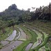 Bali 04