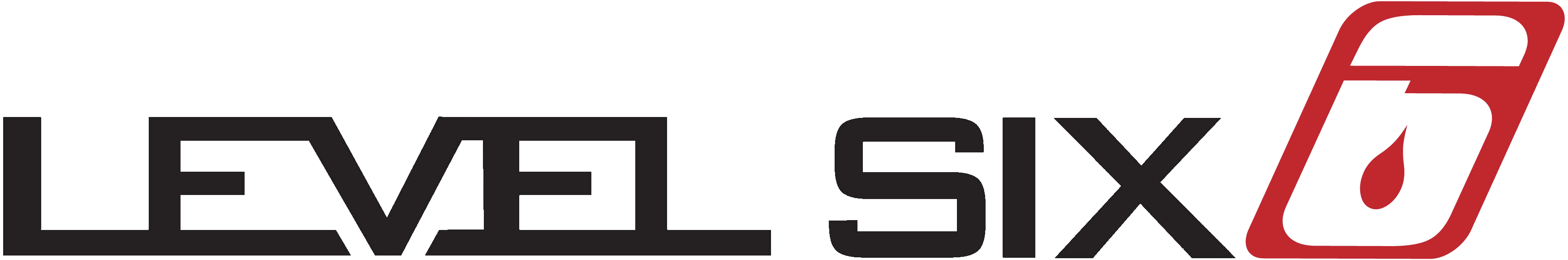 Level 6
