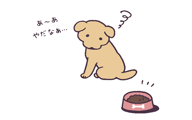 子犬がフードを食べない時の対処法 １ 子犬がフードを食べない原因は 子犬の飼い方 教えて犬ノート 犬のお悩みスッキリ解決