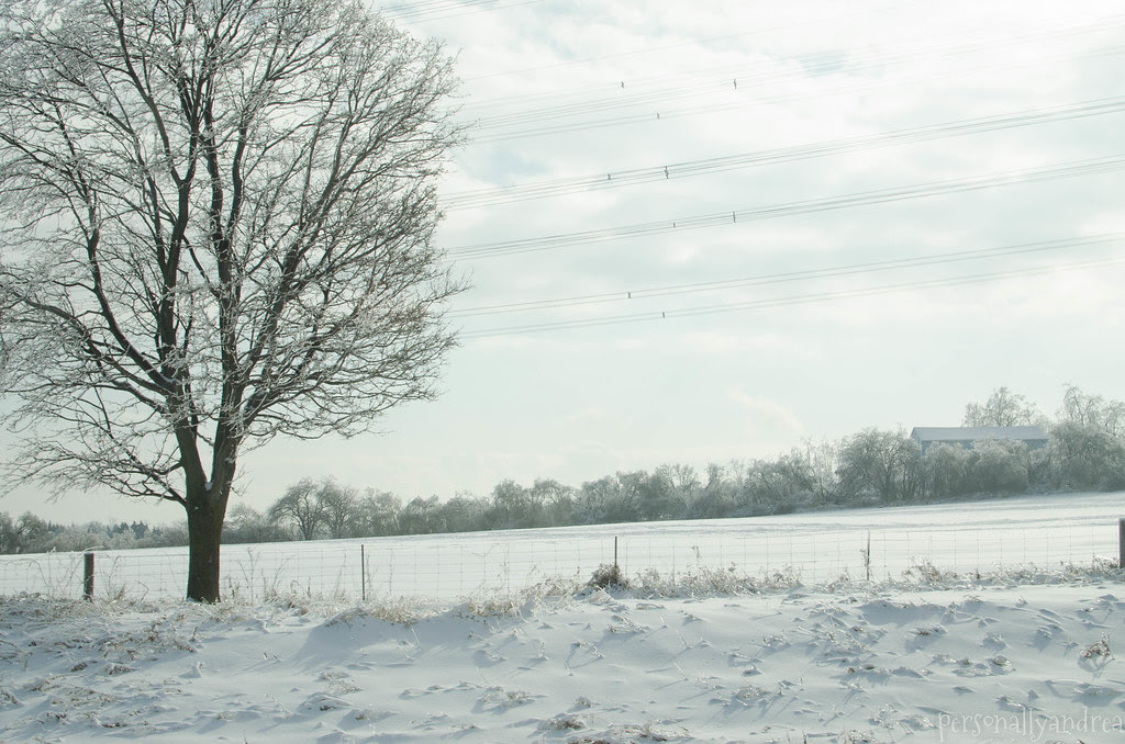 Road Trip | Montreal in Winter | personallyandrea.com
